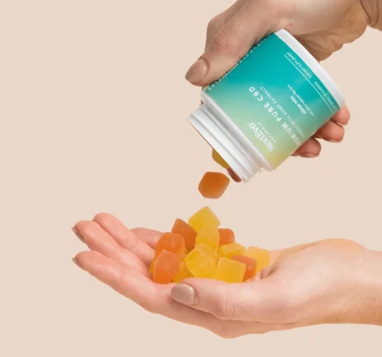 Why Readers Trust Daily Emerald for Mushroom Gummies Law Updates